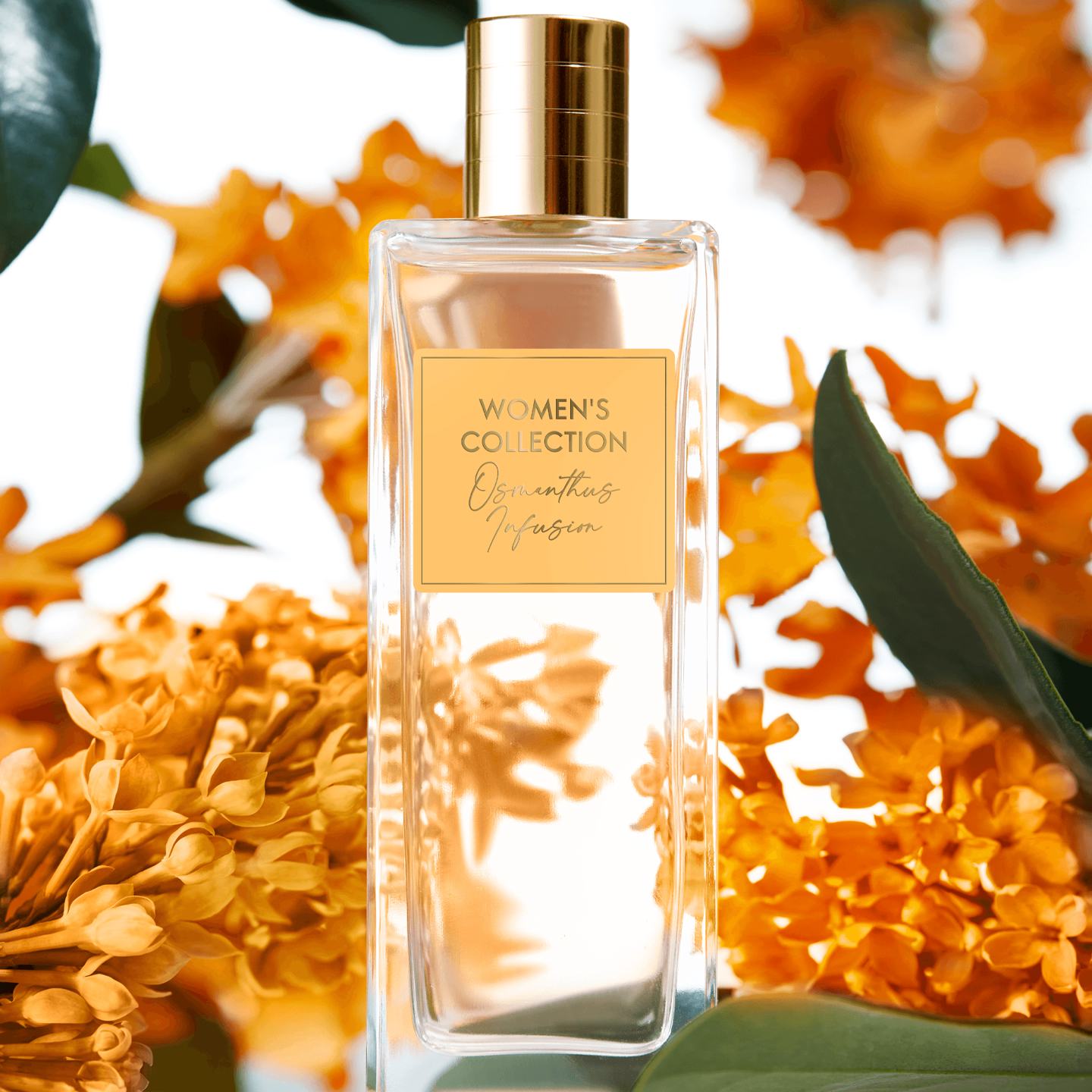 Oriflame perfume women deals